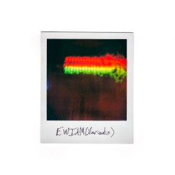 Every Window Is a Mirror (variants)