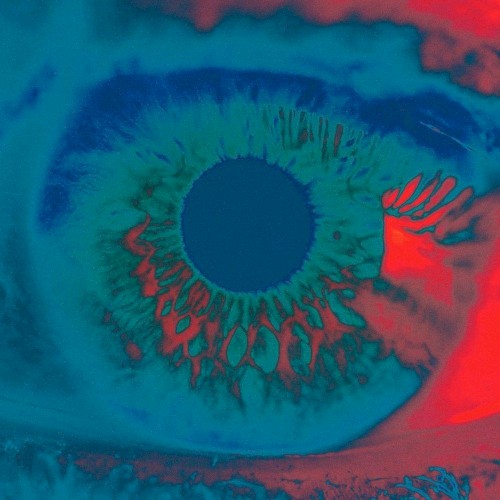 Shadow (Remixes)
