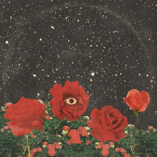 Gardens (Deluxe Version)