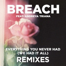 Everything You Never Had (We Had It All) (Remix Package)