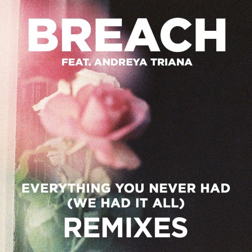Everything You Never Had (We Had It All) (Remix Package)
