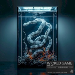 Wicked Game (original mix)