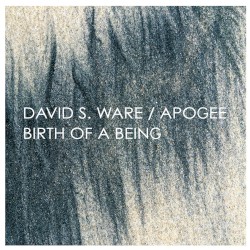 Birth of a Being (expanded)