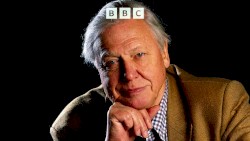 David Attenborough’s Life Stories: Series 1