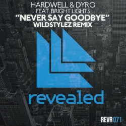 Never Say Goodbye (Wildstylez remix)