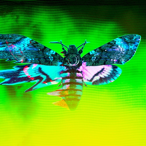 Dissection (Harbiter remix)