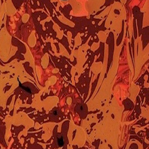 Lost Bones of the Holy Butterfly Revisted