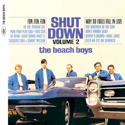 Shut Down, Vol. 2
