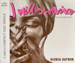 I Will Survive (The Shep Pettibone remix)