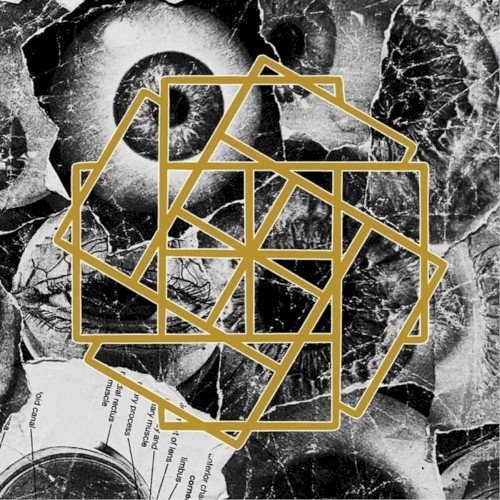 4 way split with Christian Lovers, Midwestlust, Twin Tombs (Damien records)