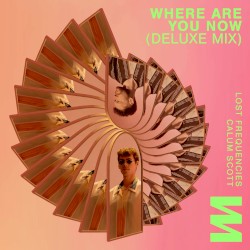 Where Are You Now (deluxe mix)
