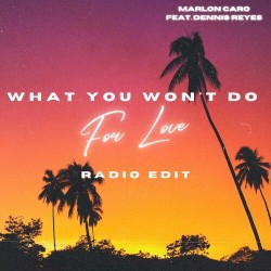What You Won't Do For Love (Radio Edit)