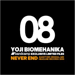 Never End (Novakaine remix)