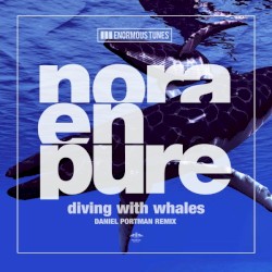Diving With Whales (Daniel Portman remix)