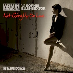 Not Giving Up on Love (Remixes)