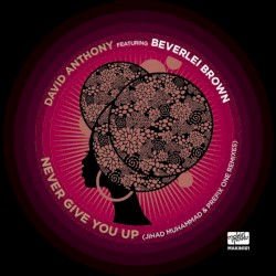 Never Give You Up (Remixes)