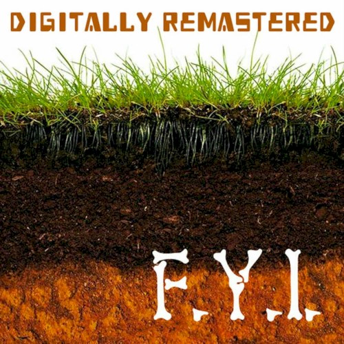F.Y.I. (Digitally Remastered)
