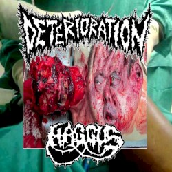 Split 7" w/ Haggus