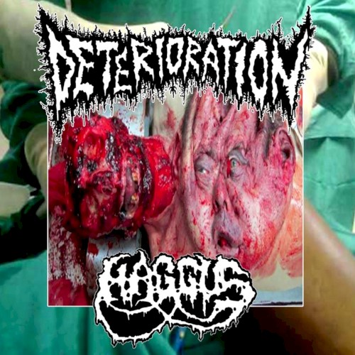 Split 7" w/ Haggus