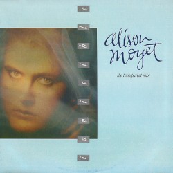 Invisible (The Transparent mix)