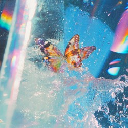 Butterfly (Expanded Edition)