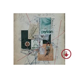Pylon (bonus track version)