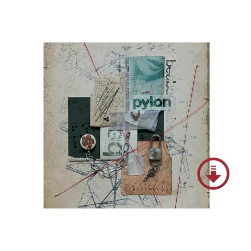Pylon (bonus track version)
