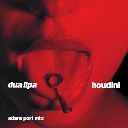 Houdini (Adam Port mix)