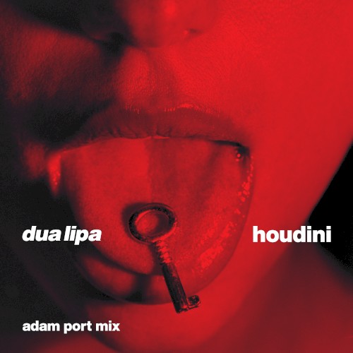 Houdini (Adam Port mix)