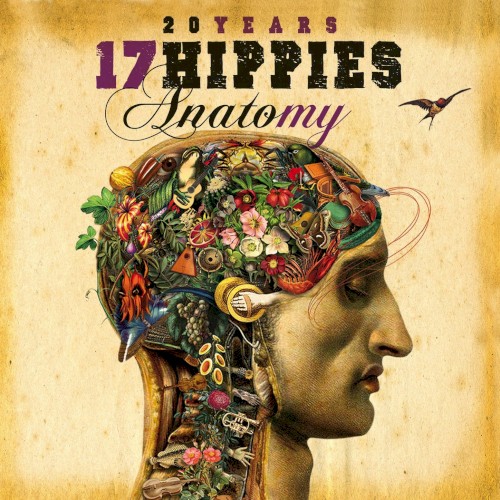 20 Years 17 Hippies - Anatomy