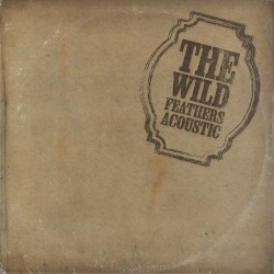 The Wild Feathers (acoustic)