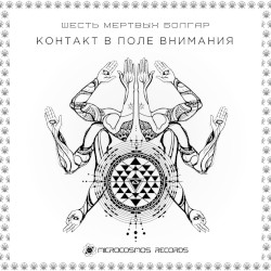 Контакт в поле внимания