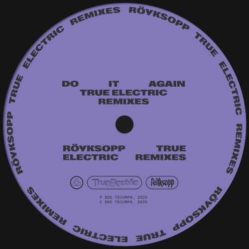 Do It Again [True Electric Remixes]