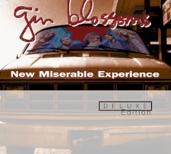 New Miserable Experience (bonus disc)