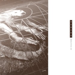 Doolittle 25: B‐Sides, Peel Sessions and Demos