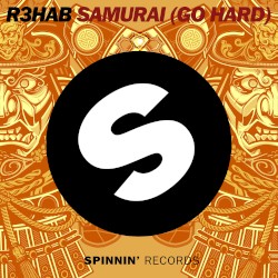 Samurai (Tiësto Remix)