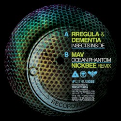 Insects Inside / Ocean Phantom (NickBee remix)
