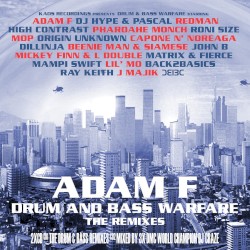 Drum and Bass Warfare (The Remixes)