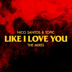 Like I Love You (the mixes)