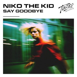 Say Goodbye (extended mix)