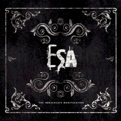 The Immaculate Manipulation: Bonus Remixes