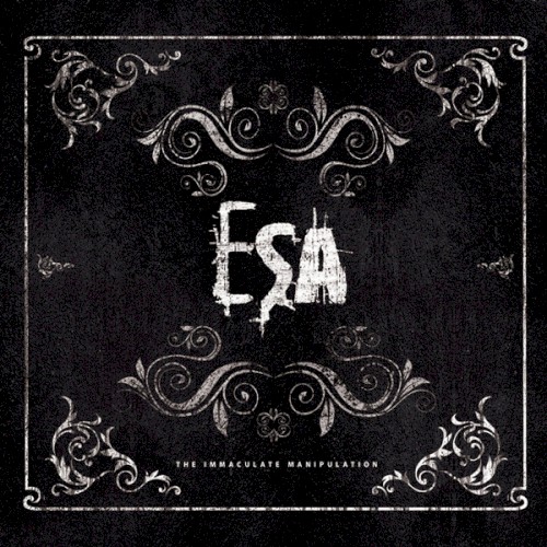 The Immaculate Manipulation: Bonus Remixes
