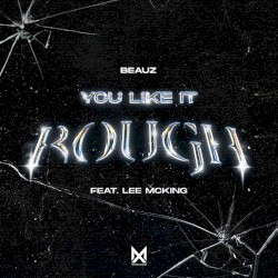You Like It Rough (extended mix)