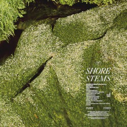 Shore (Stems Edition)