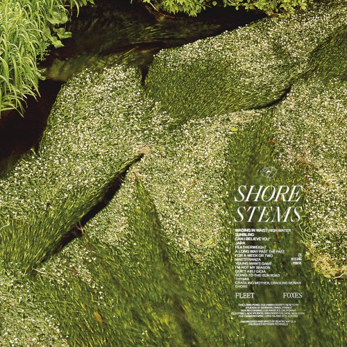 Shore (Stems Edition)