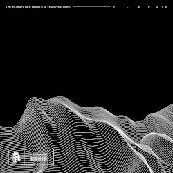 Elevate (extended mix)