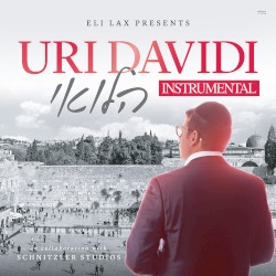 Halevai (Instrumental)