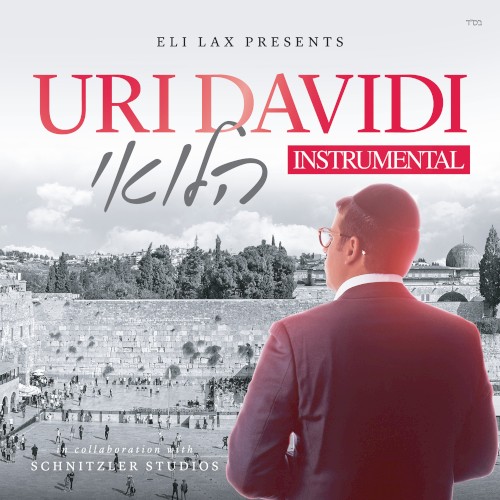 Halevai (Instrumental)