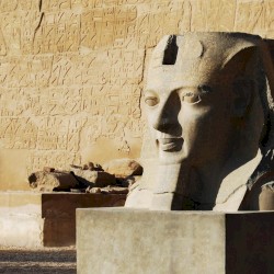 Der Fluch des Pharao