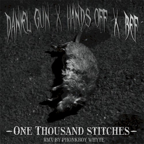One Thousand Stitches (RMX by Phonkboy Whyte)